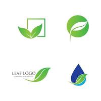 green leaf logo vector