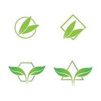 green leaf logo vector