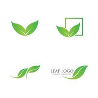 green leaf logo vector