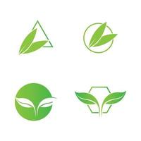 green leaf logo vector