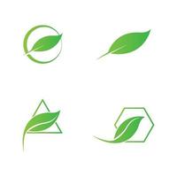 green leaf logo vector