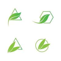 green leaf logo vector