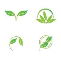 green leaf logo vector