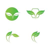 green leaf logo vector