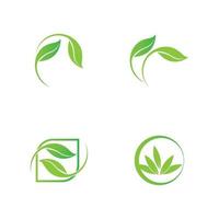 green leaf logo vector