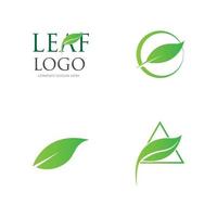 green leaf logo vector