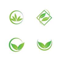 green leaf logo vector