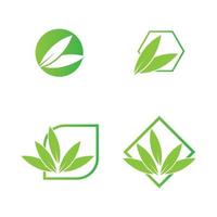 green leaf logo vector