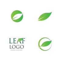 green leaf logo vector