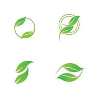 green leaf logo vector