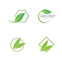 green leaf logo vector