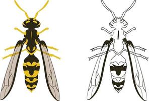Wasp or Hornet Vector Illustration Fill and Outline