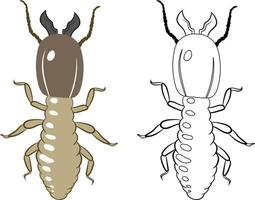 madera termitas insecto vector