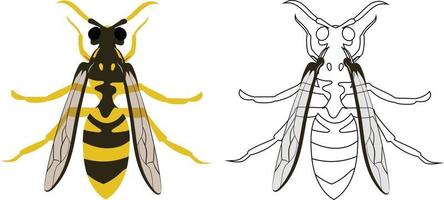 Hornet or Wasp Vector Illustration Fill and Outline Isolated