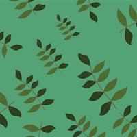 Illustration vector graphic of Eucalyptus Leaf. Design background