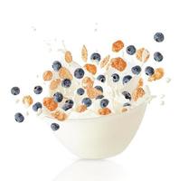 Cereal corn flakes and blueberries falling into bowl with milk splash. Healthy breakfast. Isolated on white