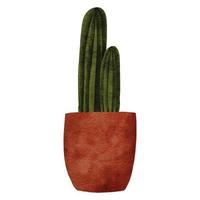 cactus maceta casa planta pintura de acuarela vector