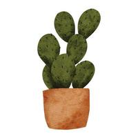 cactus suculentas en maceta ilustración acuarela vector