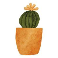 cactus flower pot houseplant watercolor paint illustration vector