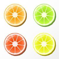 vector de ilustración de rodajas de naranja gratis