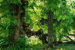 Old grave with an iron cross overgrown by vegetation