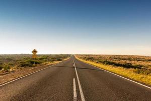 kangaroo crossing road sign photo