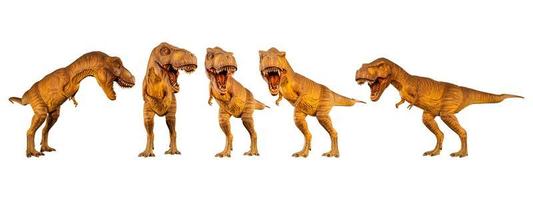 Conjunto de diversas posturas de dinosaurios sobre fondo blanco aislado foto