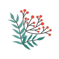 Branch of mountain ash, simple vector illustration in flat style on white background