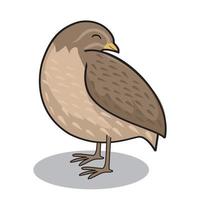 Quail Bird Cartoon Sleeping Animals Illustration vector