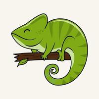 Chameleon Illustrations Cartoon Isolated vector