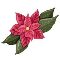 Poinsettia flower isolated on a white background. A New Year's symbol for the design of a Christmas or New Year's card. Vector