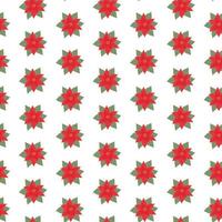 Seamless New Year pattern with Christmas poinsettias on isolated background for print, textile vector