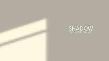 simple window shadow overlay background vector