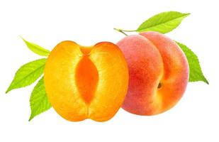 Isolated apricots Fresh apricot fruits isolated on white background photo