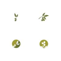 olive icon vector illustration