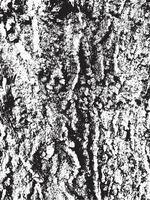 textura de corteza de árbol de grunge. textura de superposición apenada. textura vector blanco y negro