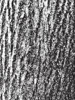 Grunge tree bark texture. Distressed overlay texture. Black and white vector texture