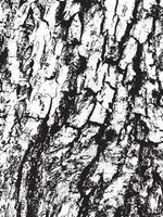 Grunge tree bark texture. Distressed overlay texture. Black and white vector texture