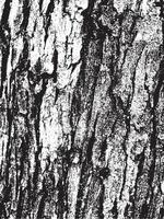 textura de corteza de árbol de grunge. textura de superposición apenada. textura vector blanco y negro