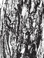 Grunge tree bark texture. Distressed overlay texture. Black and white vector texture