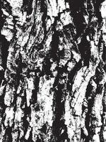 Grunge tree bark texture. Distressed overlay texture. Black and white vector texture