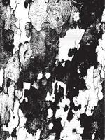 textura de corteza de árbol de grunge. textura de superposición apenada. textura vector blanco y negro