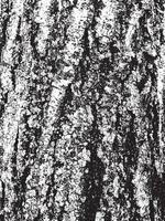 Grunge tree bark texture. Distressed overlay texture. Black and white vector texture