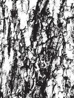 Grunge tree bark texture. Distressed overlay texture. Black and white vector texture