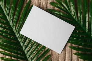 A blank card is placed on leaf and a sweater photo