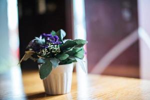Flower in vase on table at coffee shop photo