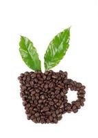 roasted coffee bean with leave on white background photo