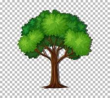 árbol en el fondo de la cuadrícula vector