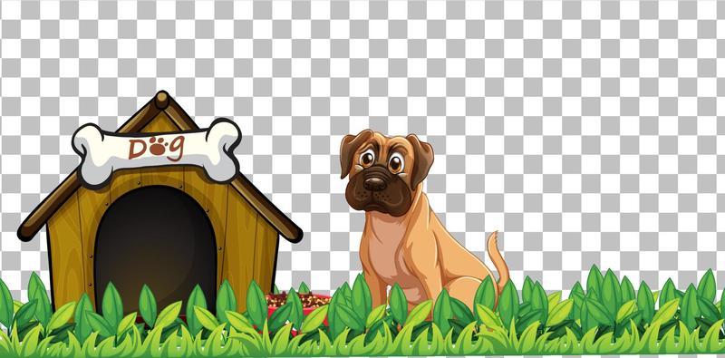 Boxer dog with dog house on grid background