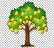 Mango tree on grid background vector